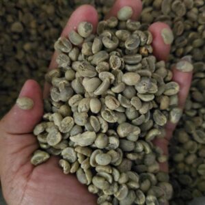 Bolaven Plateau Green Coffee Beans